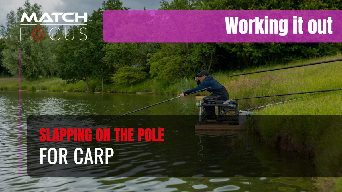 Slapping On The Pole For Carp | Meadowlands Fishery | Working It Out