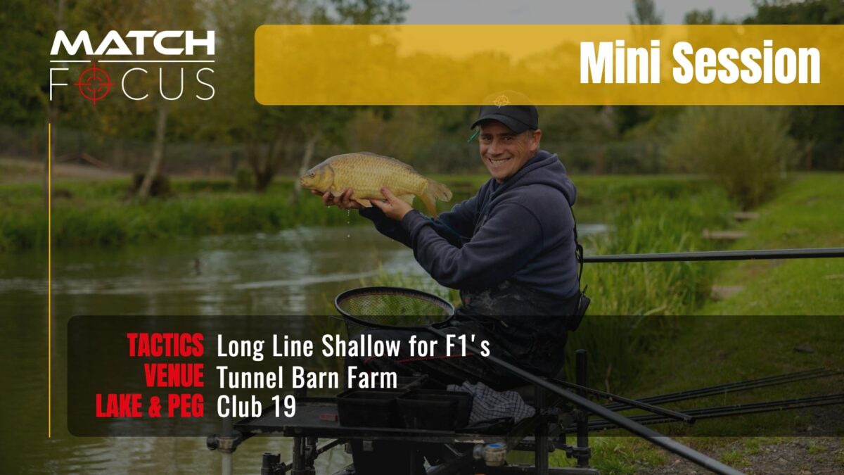 Long Line Shallow for F1’s | Tunnel Barn Farm | Mini Session