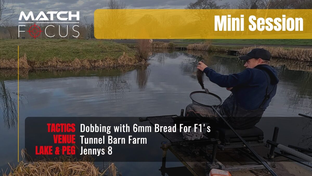 Dobbing with 6mm Bread For F1’s | Tunnel Barn Farm | Mini Session