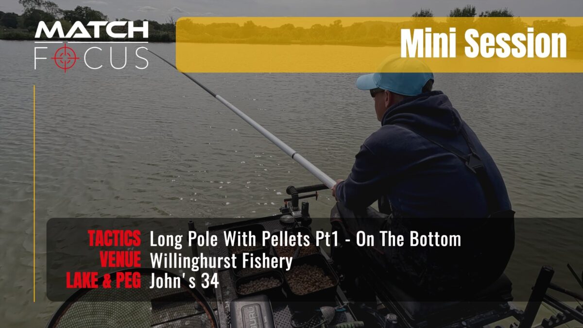 Long Pole With Pellets Pt1 | Willinghurst Fishery | Mini Session